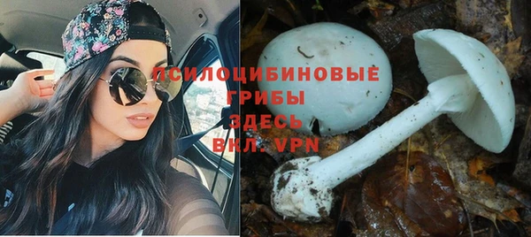 стафф Алексеевка